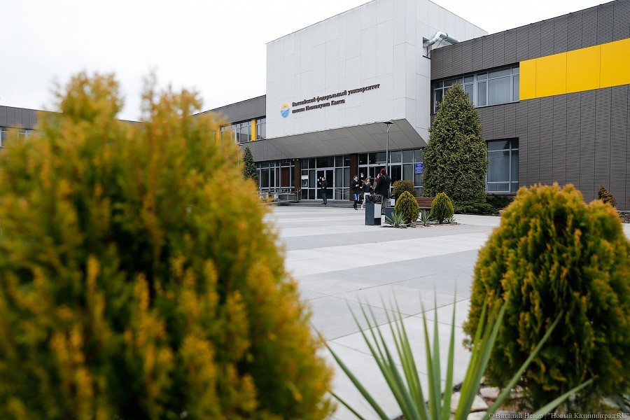 БФУ объявил торги по строительству пяти общежитий на Невского