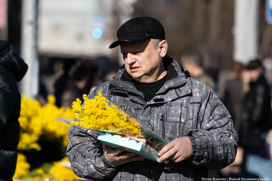 Цветочные баррикады: как выглядят улицы Калининграда 8 марта (фото)