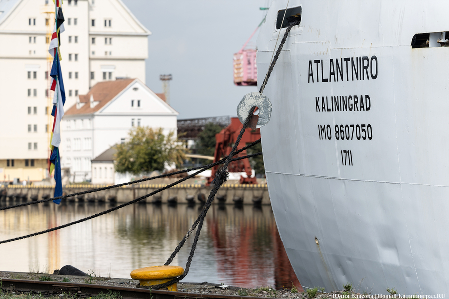 Там будет «Крузенштерн»: в Калининграде стартовала Большая африканская экспедиция