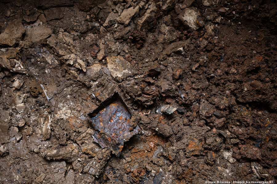 Настоящие подземелья Кёнигсберга: что находится в открывшемся провале на острове Канта (фото)