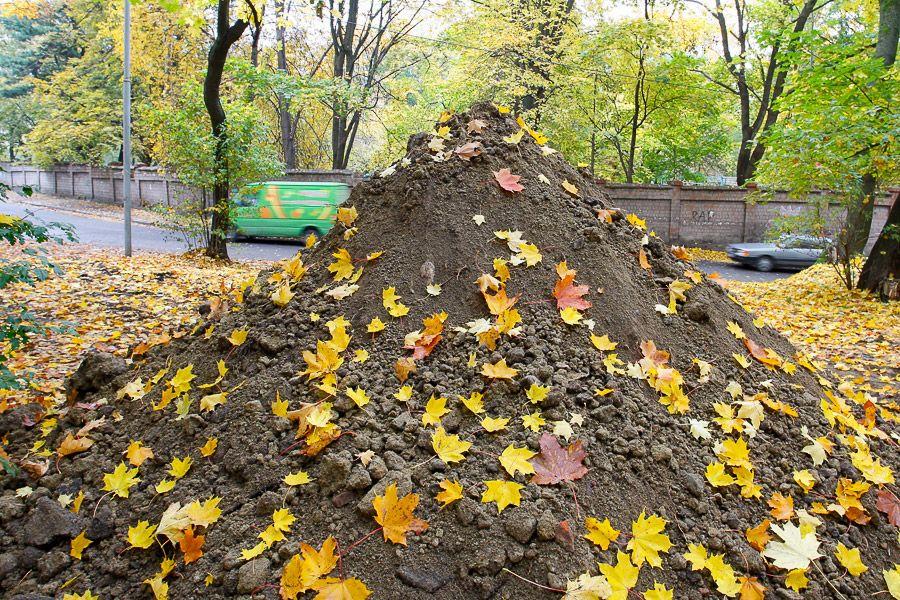 Бессель с ними: основание холма, где была Кенигсбергская обсерватория, срыли экскаваторы