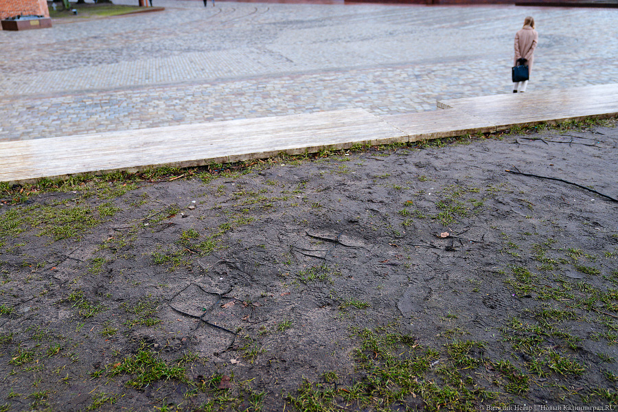 «Грязные» миллионы: во что превратился благоустроенный остров Канта к весне (фото)