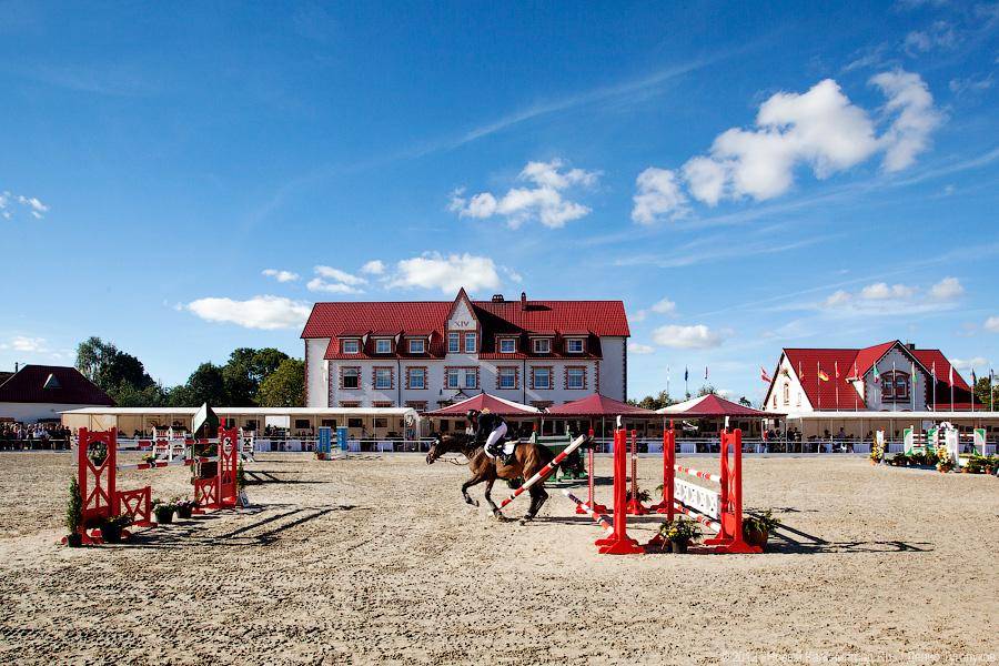 «Кубок президента РФ для немцев»: фоторепортаж с турнира по конкуру в Георгенбурге