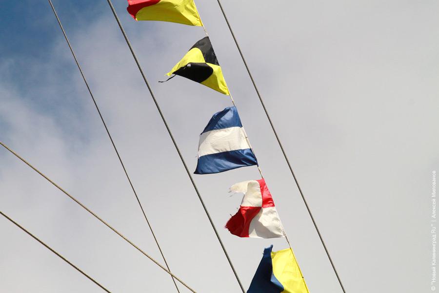 "Вопреки традиции": фоторепортаж "Нового Калининграда.Ru"