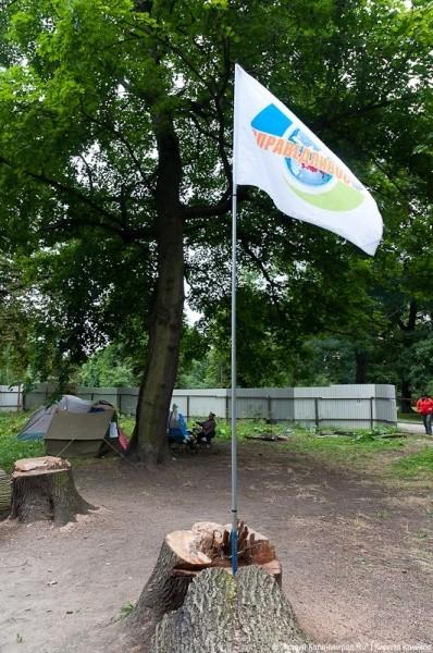 Пила vs. палатка: фоторепортаж "Нового Калининграда.Ru"
