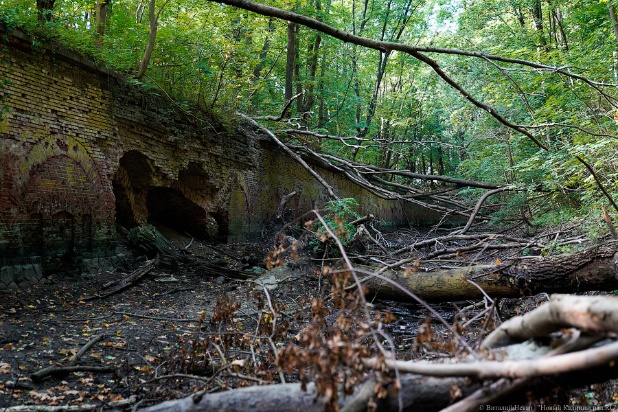 Арендатор форта №8: мы оставим его разрушенным (фото)