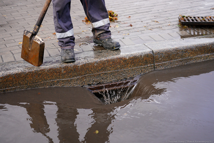Другой берег улицы: Калининград затопило после шторма (да, опять)