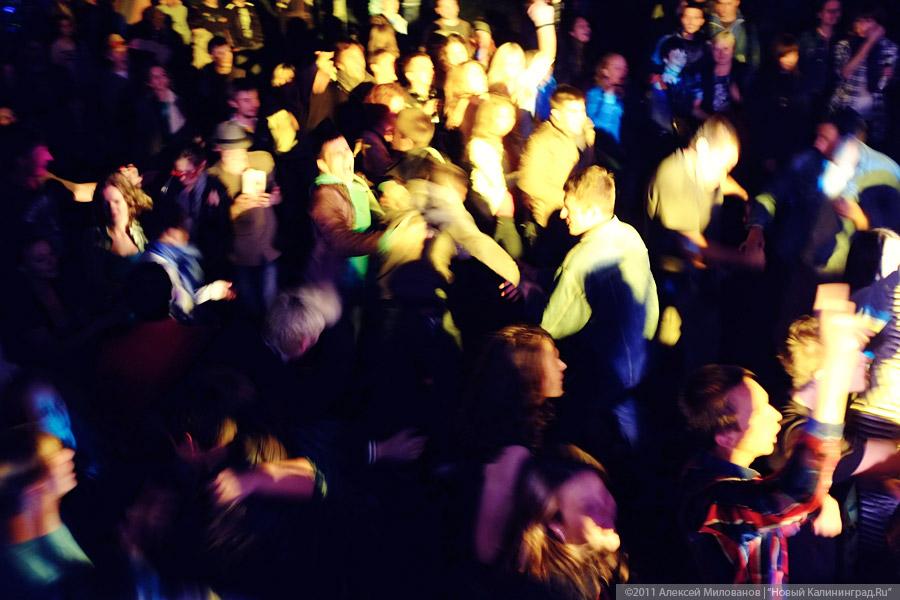 "Насекомая страна": фоторепортаж "Афиши Нового Калининграда.Ru"