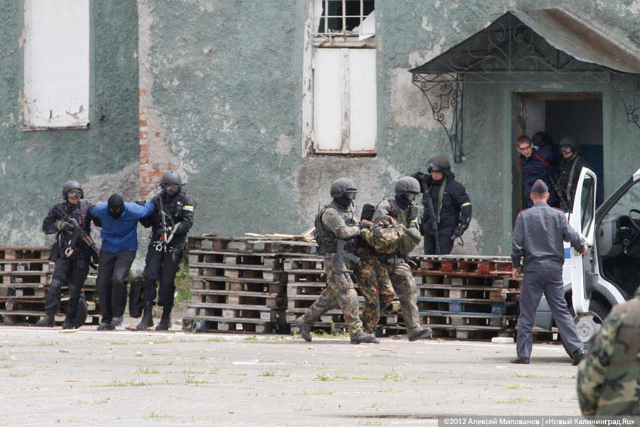 «Под флагом Башара»: фоторепортаж с антитеррористических учений