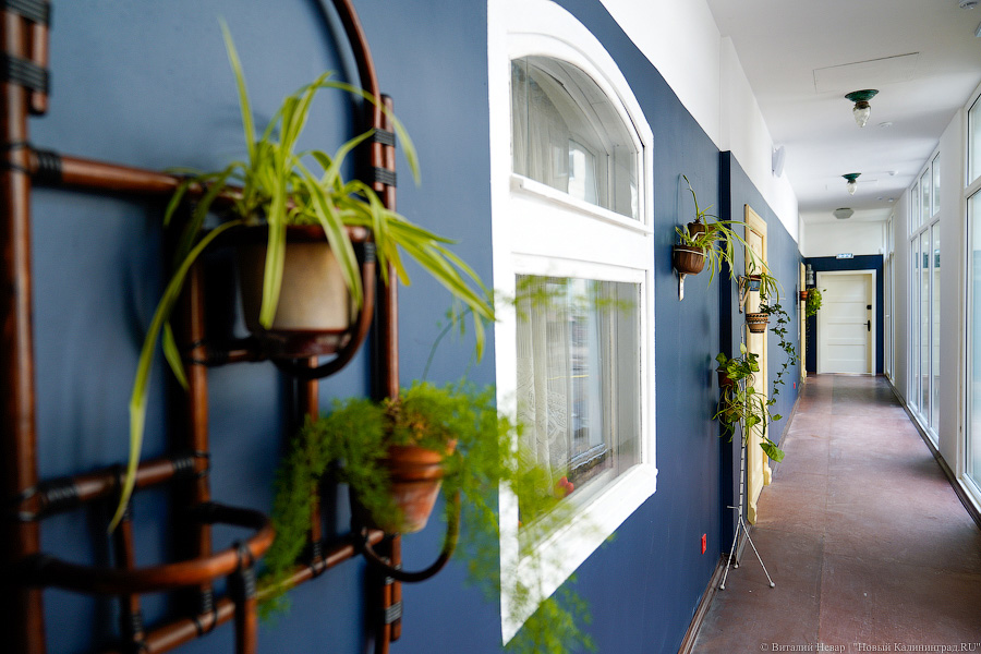 Страна нерассказанных историй: в Калининграде открылся музей советской эпохи Дом китобоя