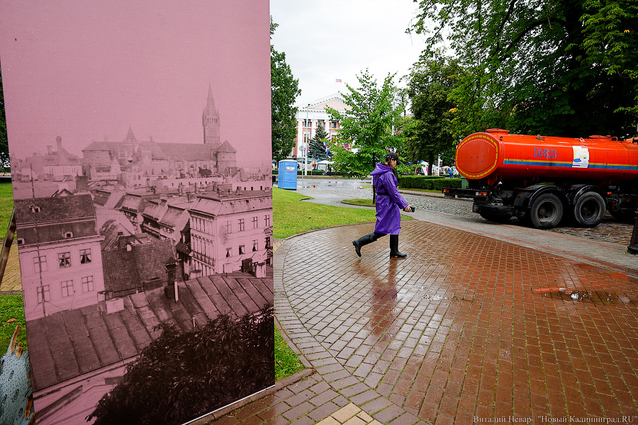 Праздник под дождем: как в Калининграде прошел День города (фото)