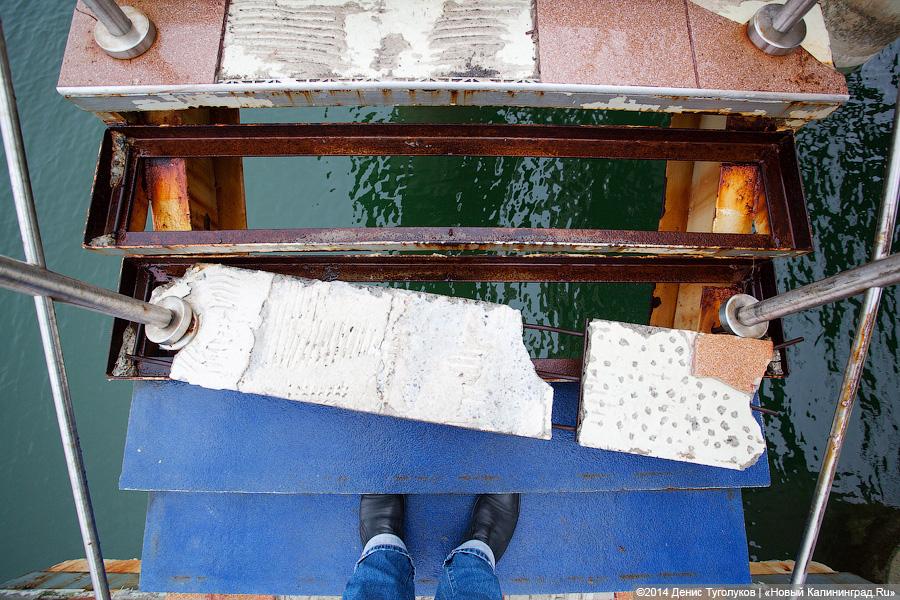 «Жим сидя, коты и обломки»: променад в Зеленоградске в туристическое межсезонье