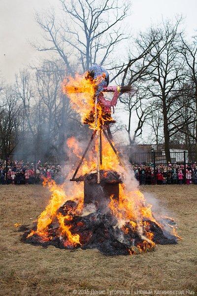 Продвинутое средневековье: как люди и звери Масленицу отмечали