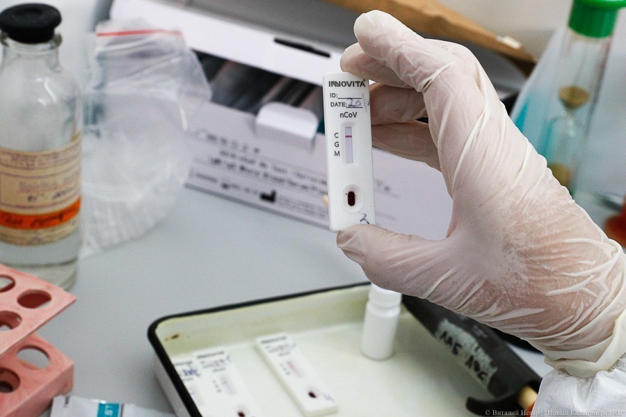 В Калининградской области вновь выявили более 40 случаев коронавируса за сутки