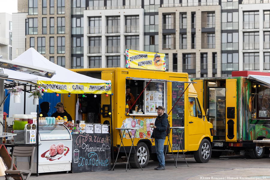 И рыба, и мясо: в Зеленоградске открылся гастрономический «Фиштиваль» (фото)