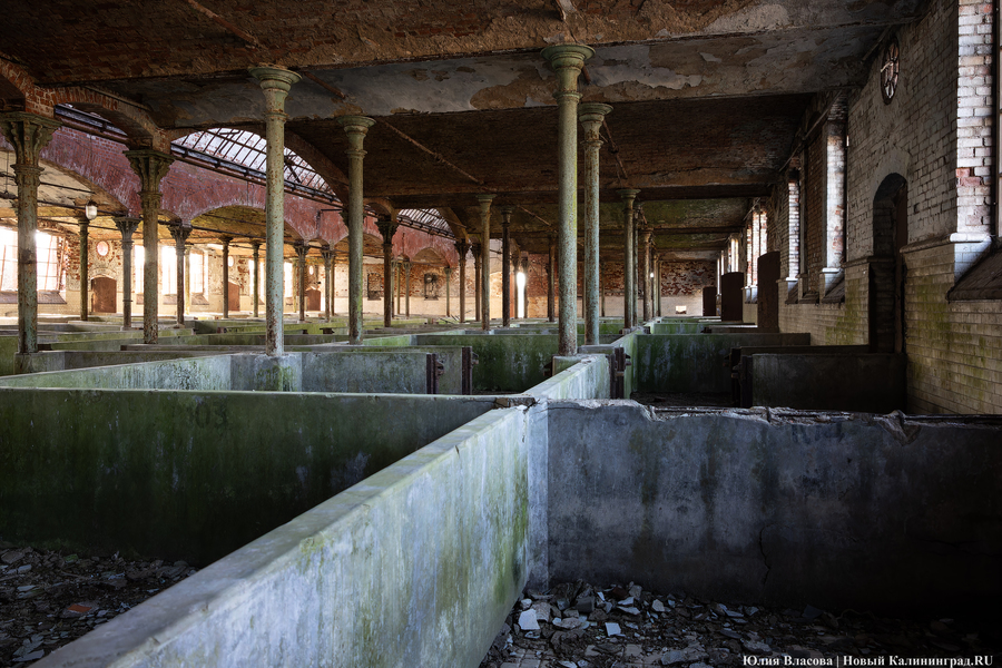 След Розенау: как выглядит заброшенный мясокомбинат на Аллее Смелых (фото)