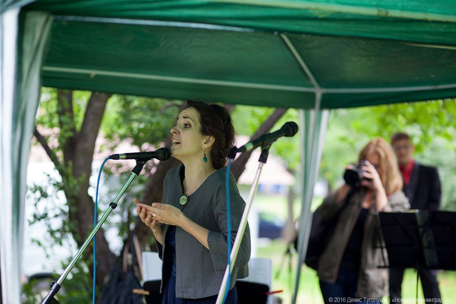 Музыка под балконом: в Калининграде прошёл фестиваль «Когда звучат улицы»