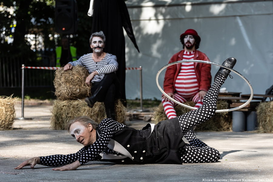 Это просто цирк какой-то: фестиваль «Башня» запустил уличную программу на «Балтике» (фото)