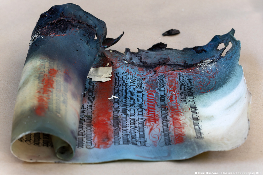 Эхо прошлого: в Калининградском зоопарке извлекли 94-летнюю «капсулу времени» (фото)