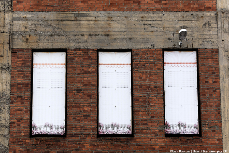 Постапокалиптический пейзаж: что происходит с территорией бывшего ЦБЗ-1 (фото)