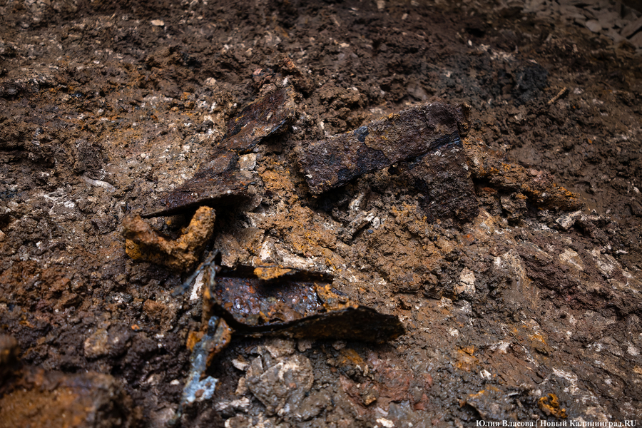 Настоящие подземелья Кёнигсберга: что находится в открывшемся провале на острове Канта (фото)