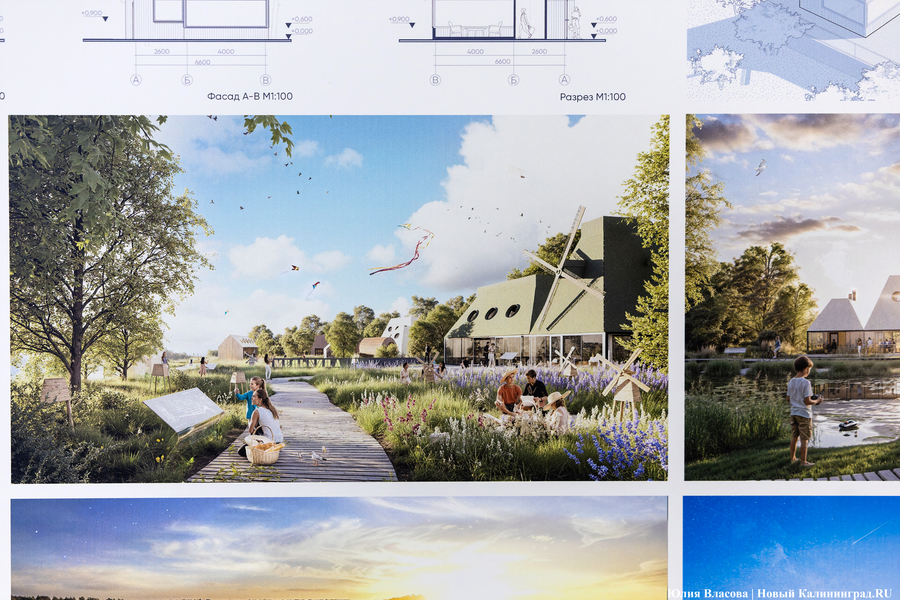 «Гнёзда» на Филинской бухте: проект из Москвы получил первую премию «ЭкоБерега» (фото)