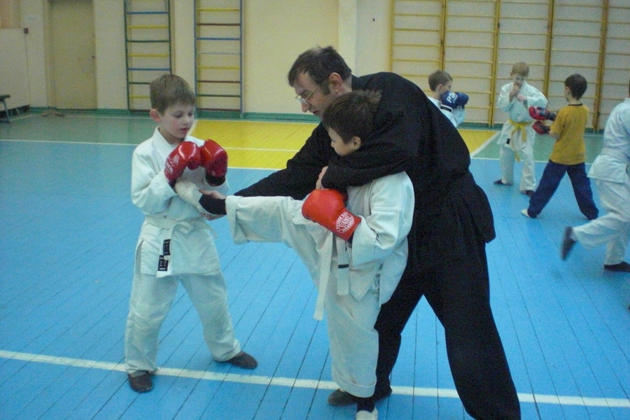 Детский юношеский спортивный коллектив рукопашного боя «Рысь»