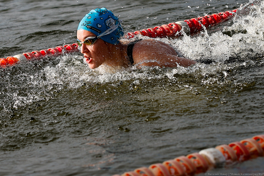 Время моржей: в  Калининграде прошли соревнования по зимнему плаванию (фото)