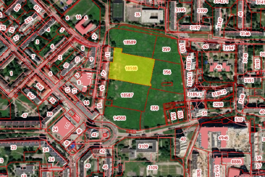 Горвласти разрешили вырубить еще 12 деревьев под застройку по ул. Батальной 