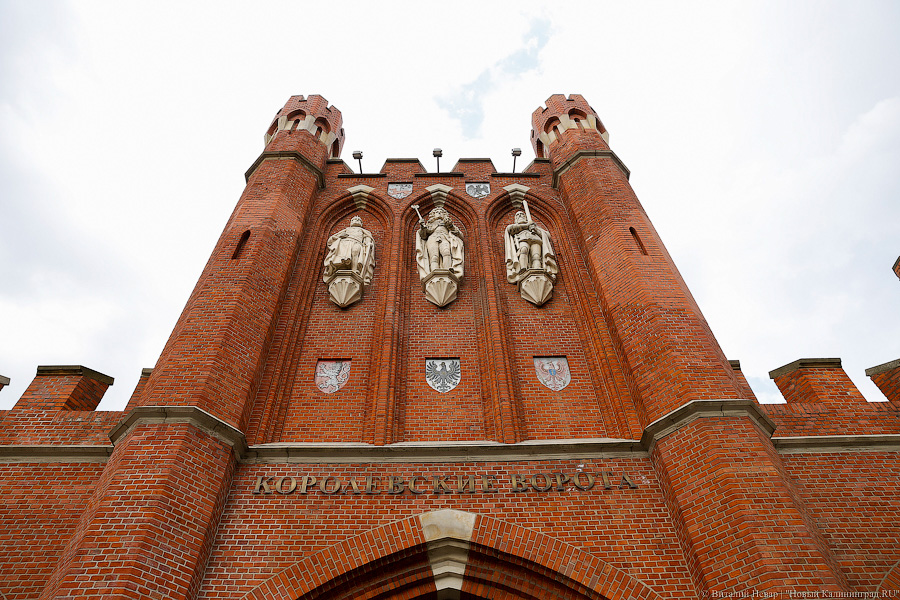 Фото: Виталий Невар / Новый Калининград