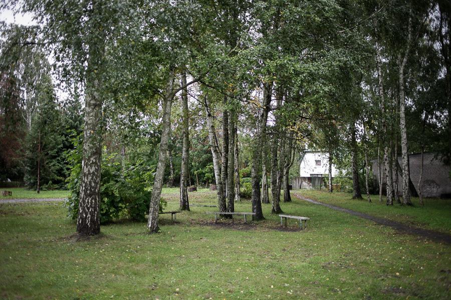 Как и все другие дети: Вика Петрова спустя 4 года после комы пошла в 1-й класс