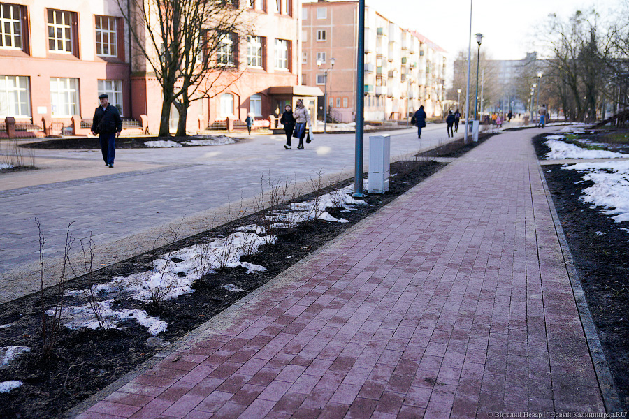 Почему без снега. Бобров пешеходная зона. Город пасмурный без снега. Зима в Калининграде без снега. Как выглядит зима без снега.