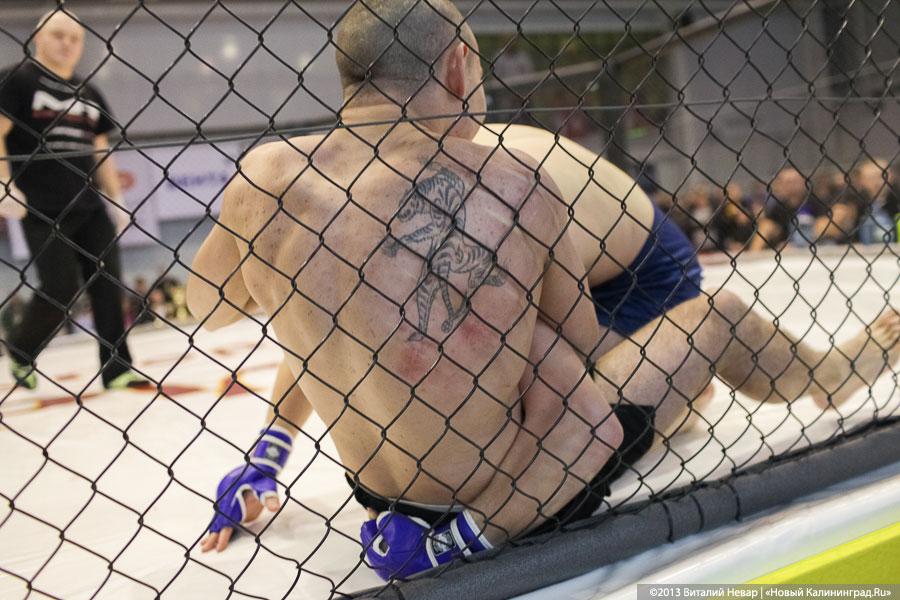 «Бои местного значения»: фоторепортаж с чемпионата по смешанным единоборствам