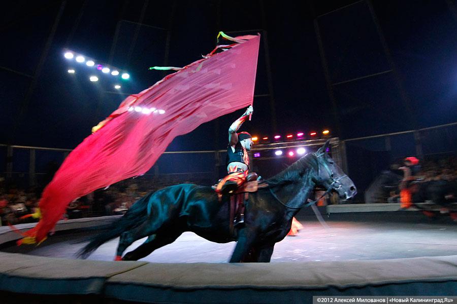 «Цирк в подарок»: фоторепортаж c премьеры цирковой программы