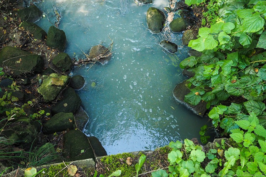 За 2022 год власти намерены полностью расчистить в Калининграде ручей, реку и пруд