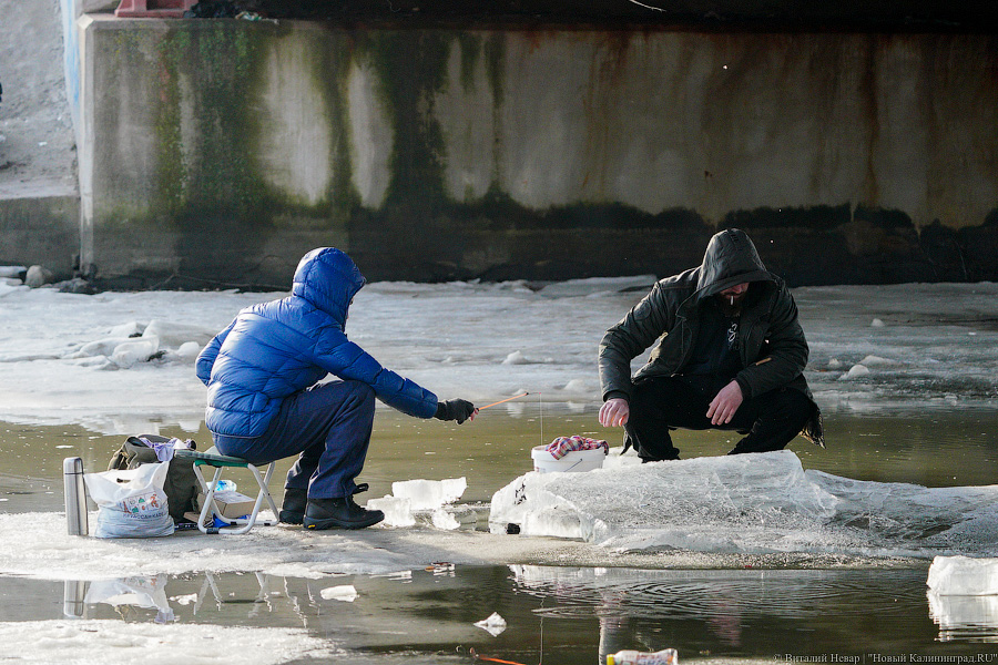 В Калининградской области несколько рыбаков провалились под тонкий лед