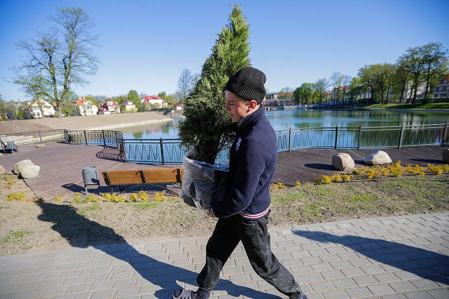 Фото — Виталий Невар, «Новый Калининград.Ru»