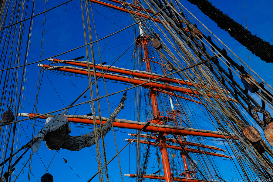 Паруснику «Седов» исполняется 100 лет. Вспоминаем главное из его истории (фото)