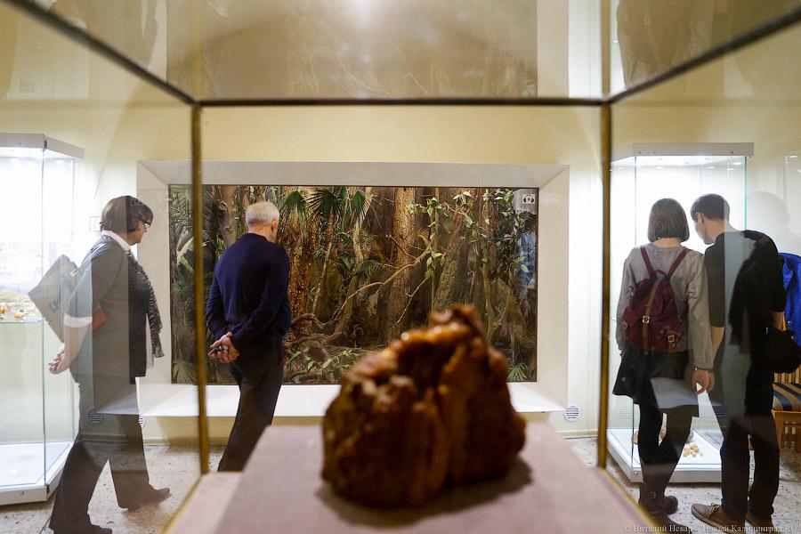 Без очередей и огненного шоу: как в Калининграде прошла «Ночь искусств»