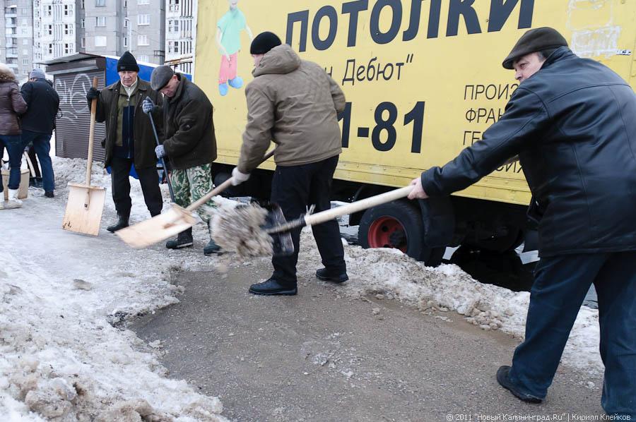 "В руки - лопаты-2": фоторепортаж "Нового Калининграда.Ru"