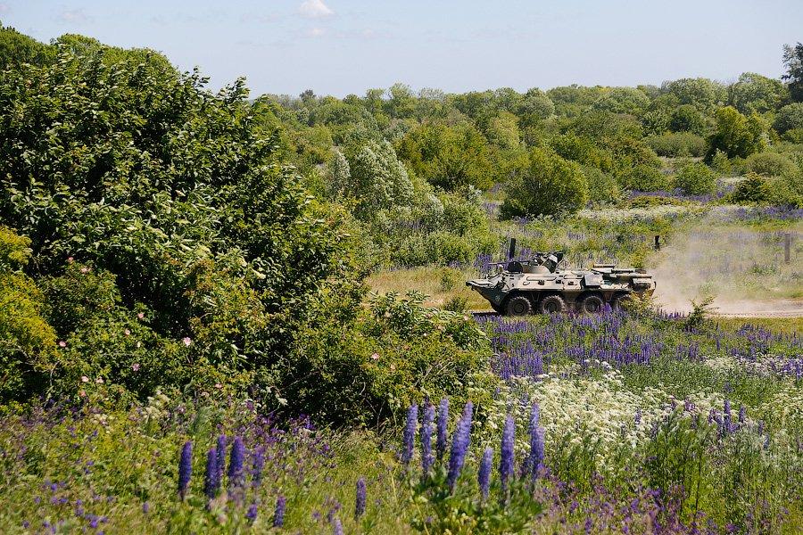 «Вальс бронетранспортёров»: в Хмелевке прошло военно-морское дерби 