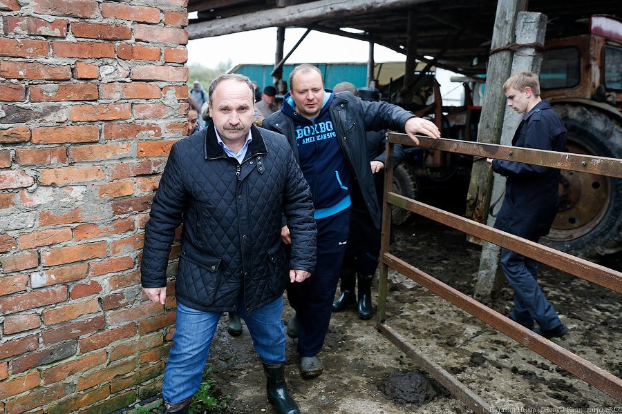 Картошка с молоком: как живут «лучшие начинающие фермеры России» из Славска