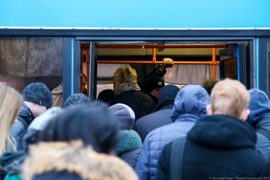 Жертвы транспортной войны: как калининградцы на работу добирались (фото)