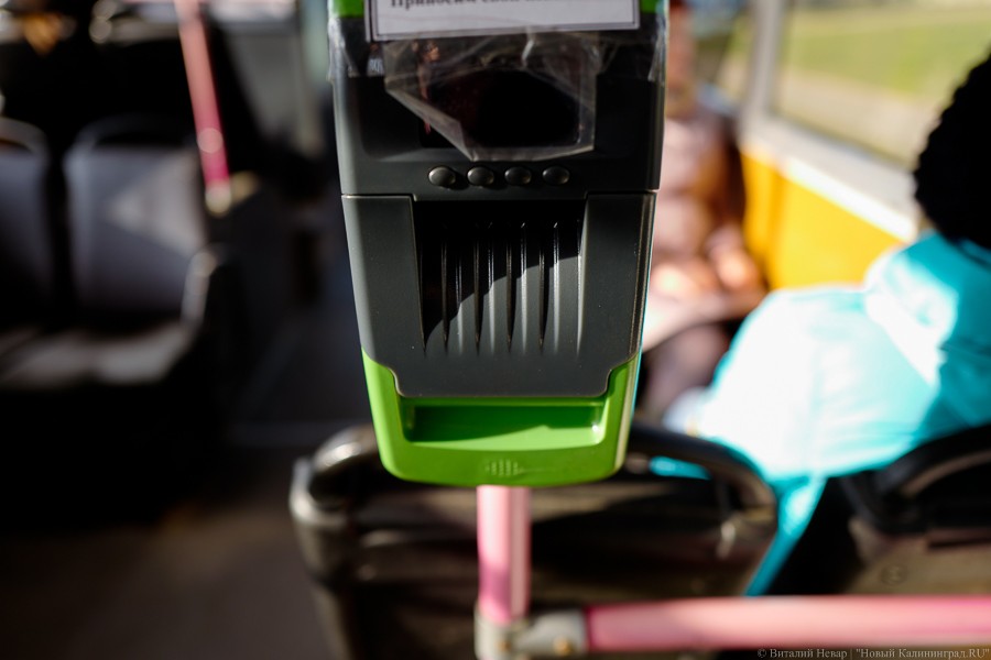 В Калининграде с 4 мая возобновляется выдача льготных карт «Волна Балтики»