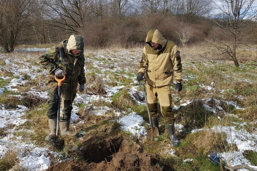 Под Багратионовском поисковики нашли сбитый Ил-2 и останки членов экипажа (фото)