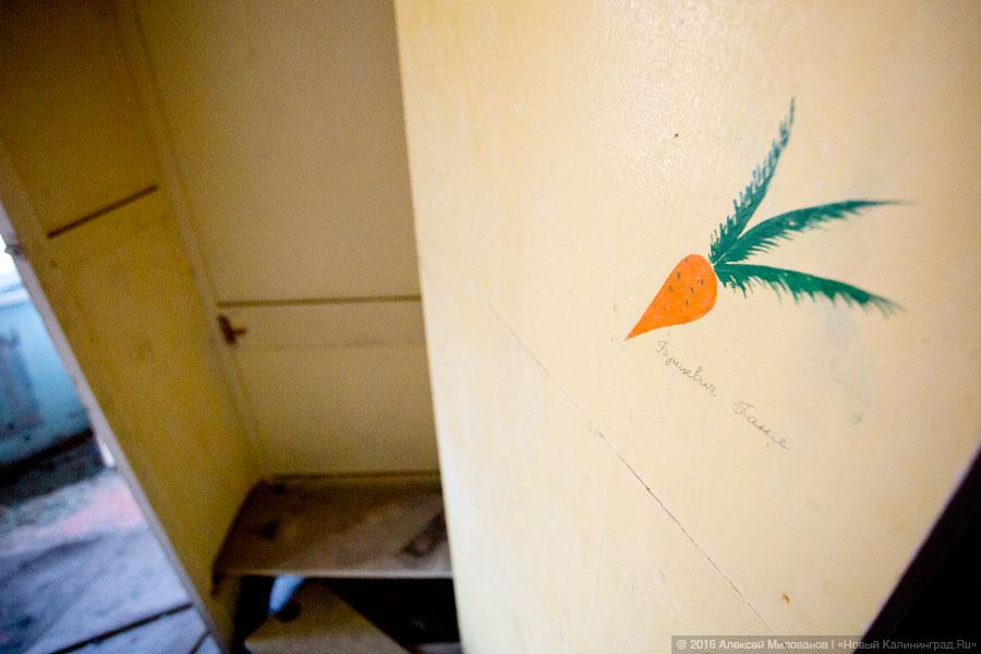 Конец детства: как умирает заброшенный детский сад в Калининграде