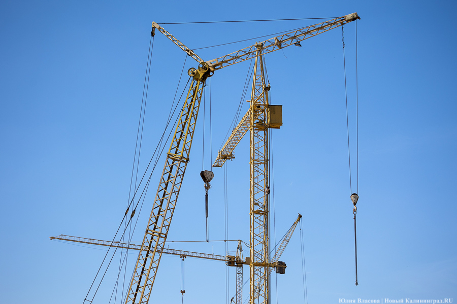 Фото: Юлия Власова / Новый Калининград 