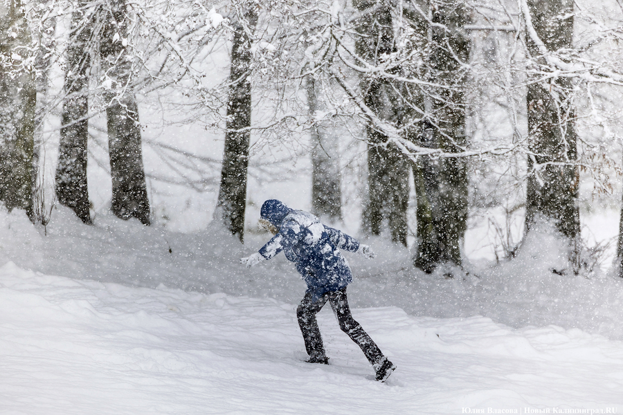 Пролетая на ватрушке: как в Центральном парке катаются с горки вопреки запретам (фото)