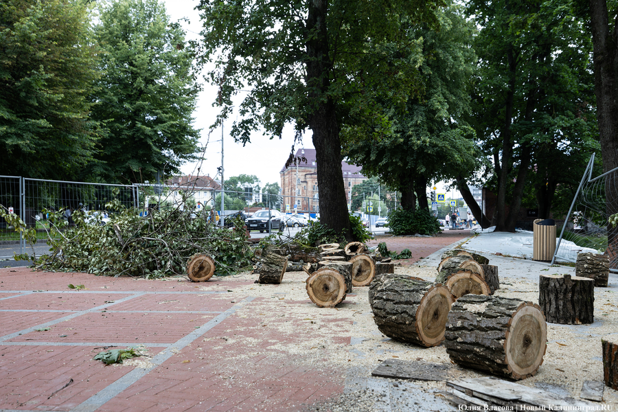 Почти готов, но дата открытия под вопросом: как сейчас выглядит Каштановый парк (фото)