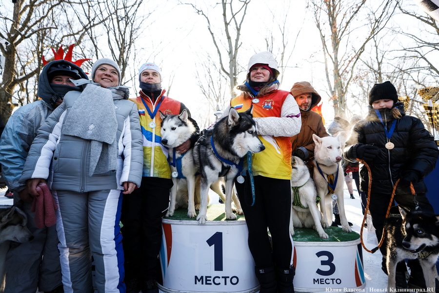 Игры при −20°C: как в Калининграде прошёл День зимних видов спорта